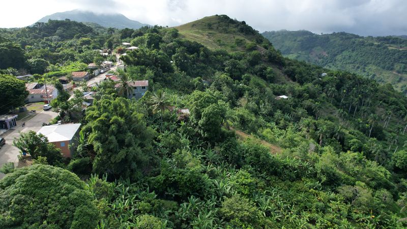 Casas y conucos en una ladera del interior del país