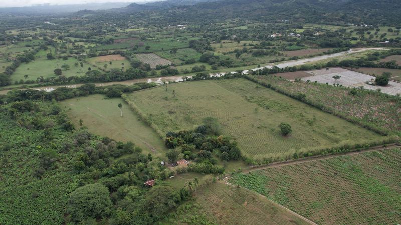 Parcelas contiguas de una misma finca, separadas por linderos de vegetación