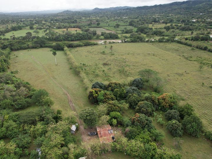 Parcelas rurales con una casa de campo entre árboles frutales
