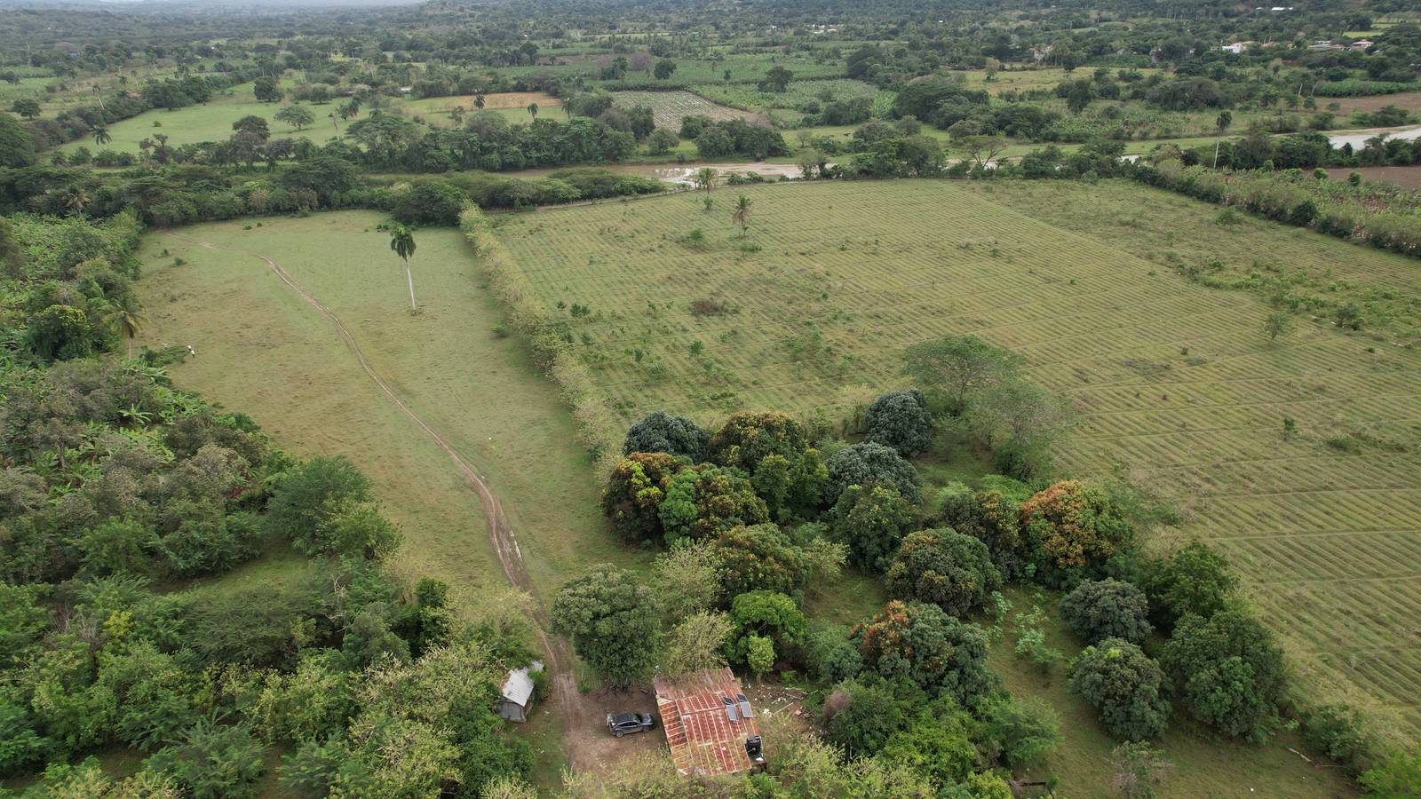 Vista aérea de parcelas agrícolas divididas en el interior de la República Dominicana